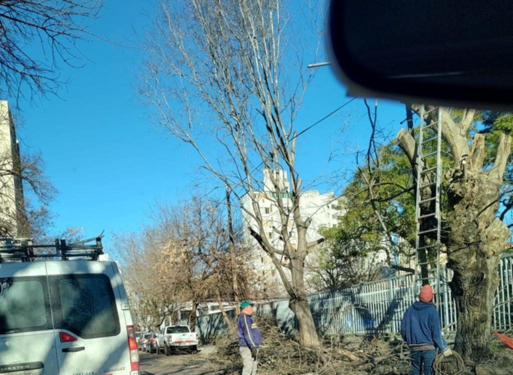 Operativo en árboles de 59 entre 7 y 8 sin protección ni desvío vial