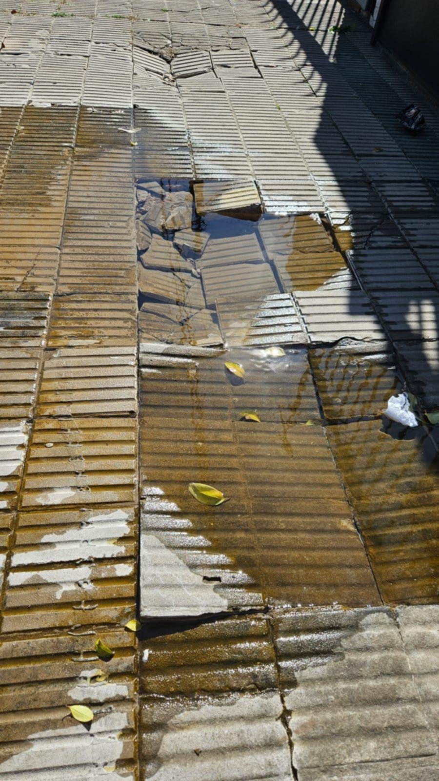 En 25 entre 61 y 62, una pérdida de agua lleva varios meses y suma 15 reclamos