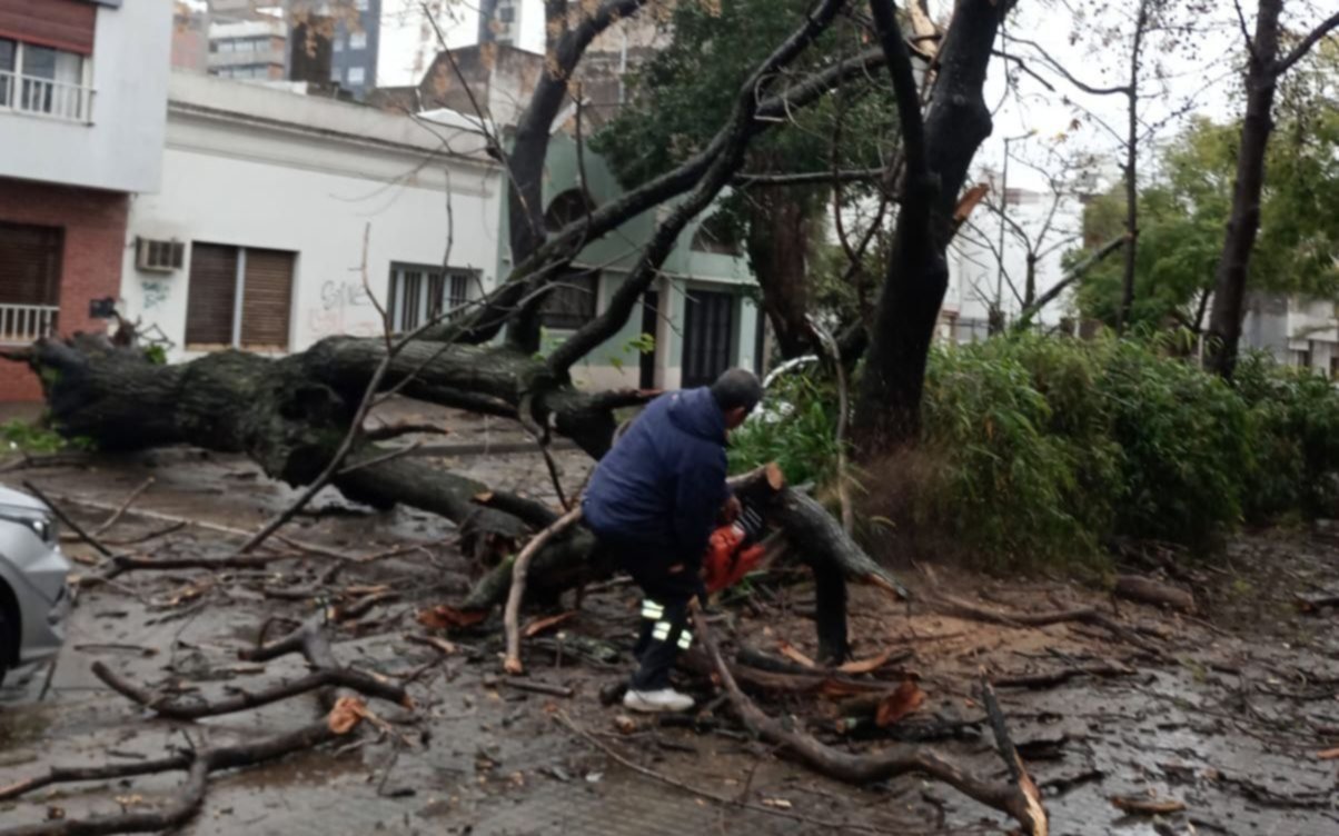 Tras el cese de alerta por lluvias fuertes en La Plata: cómo sigue el clima