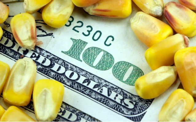 Cómo impacta el aumento del dólar en el campo: maíz, soja y lo que se espera