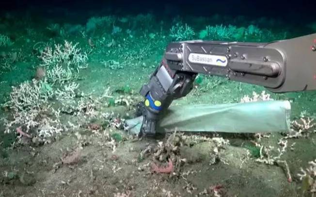 El hallazgo menos encantador en la expedición del Conicet: bolsas plásticas a miles de metros de profundidad