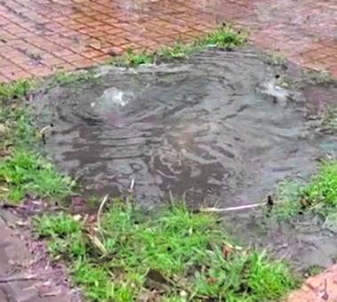 Denuncia un “manantial” de líquido cloacal en 25 y 68