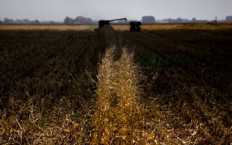 El agro proyecta ingresos por u$s 28.800 millones extra hacia 2035