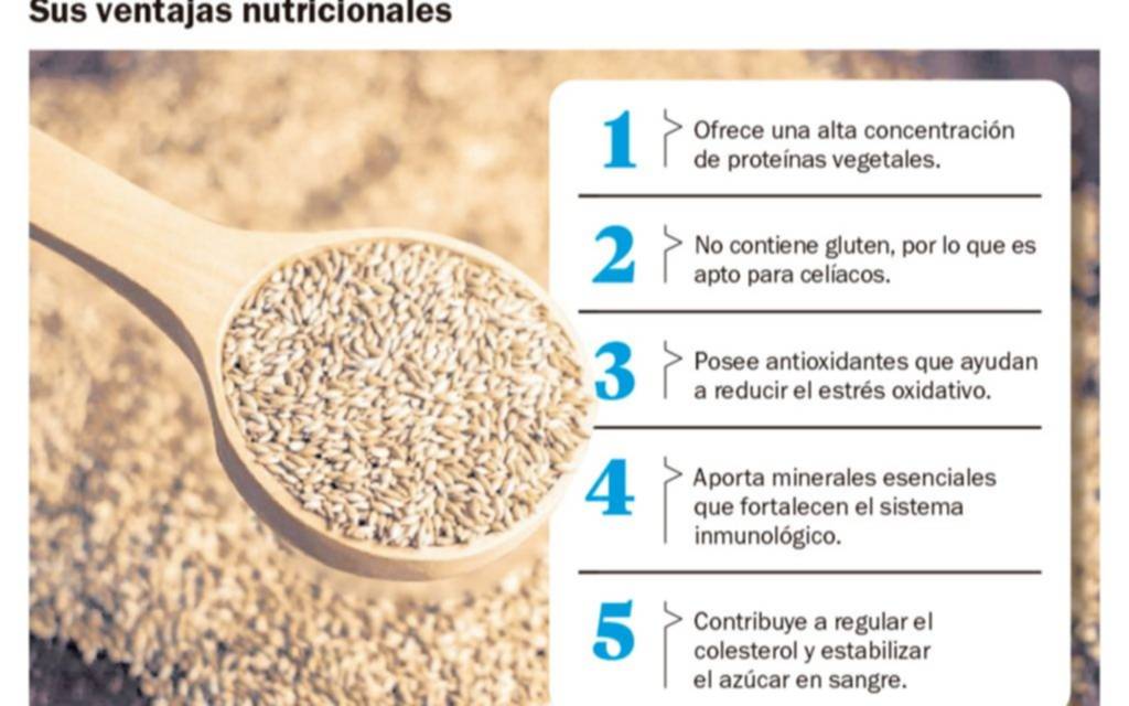 El alpiste en la mesa: de comida para aves a “superalimento”