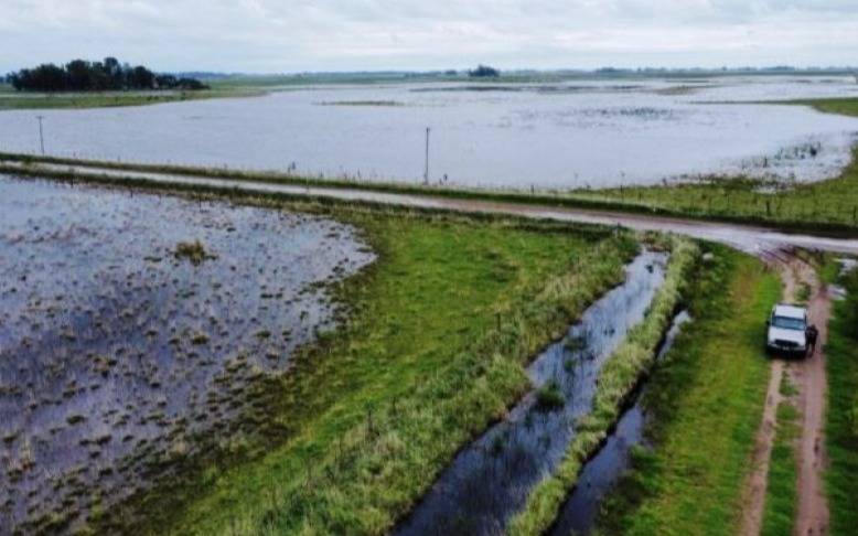 Municipio de la Provincia en crisis: peligra la cosecha de granos y el ganado por la inundacion del 80% de los campos