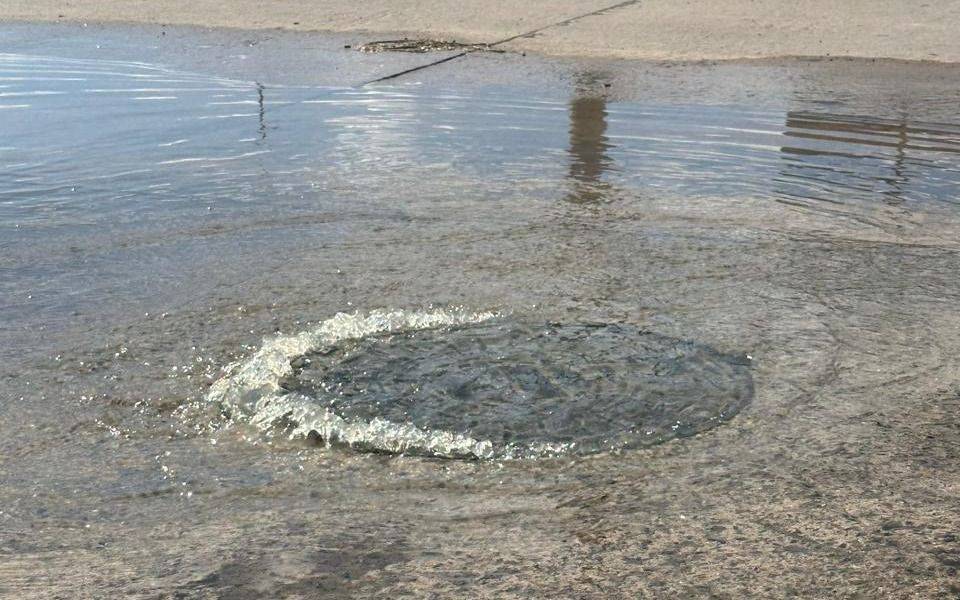 Vecinos de San Carlos reclaman a ABSA por aguas servidas