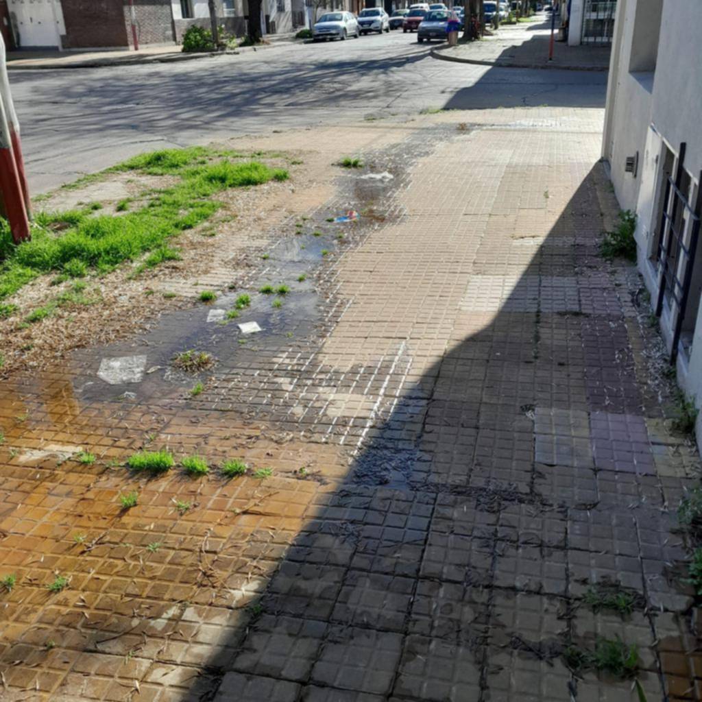 Crecen las quejas por una pérdida de agua en la esquina de 20 y 42