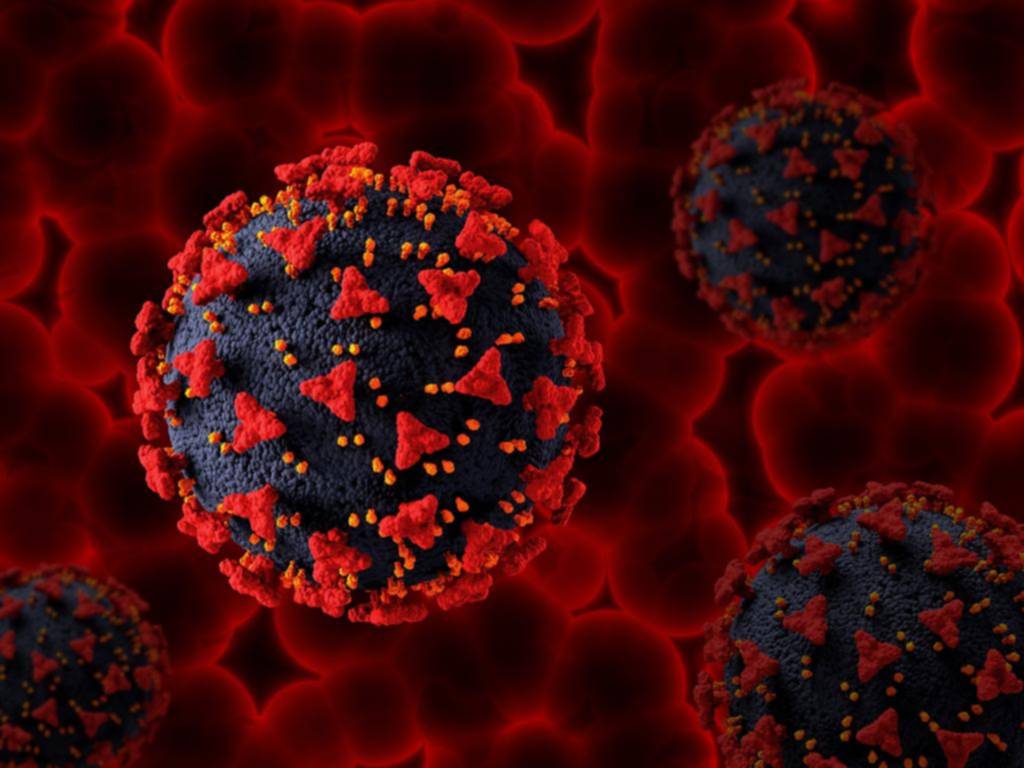 Covid Frankenstein: detectan tres casos en el país