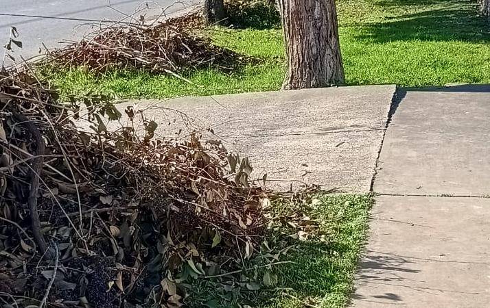 Piden el retiro de restos de poda de las veredas de San Carlos
