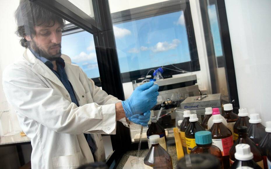 Orgullo: los expertos de La Plata que siguen de cerca una rara epilepsia y realizan monitoreo gratuito
