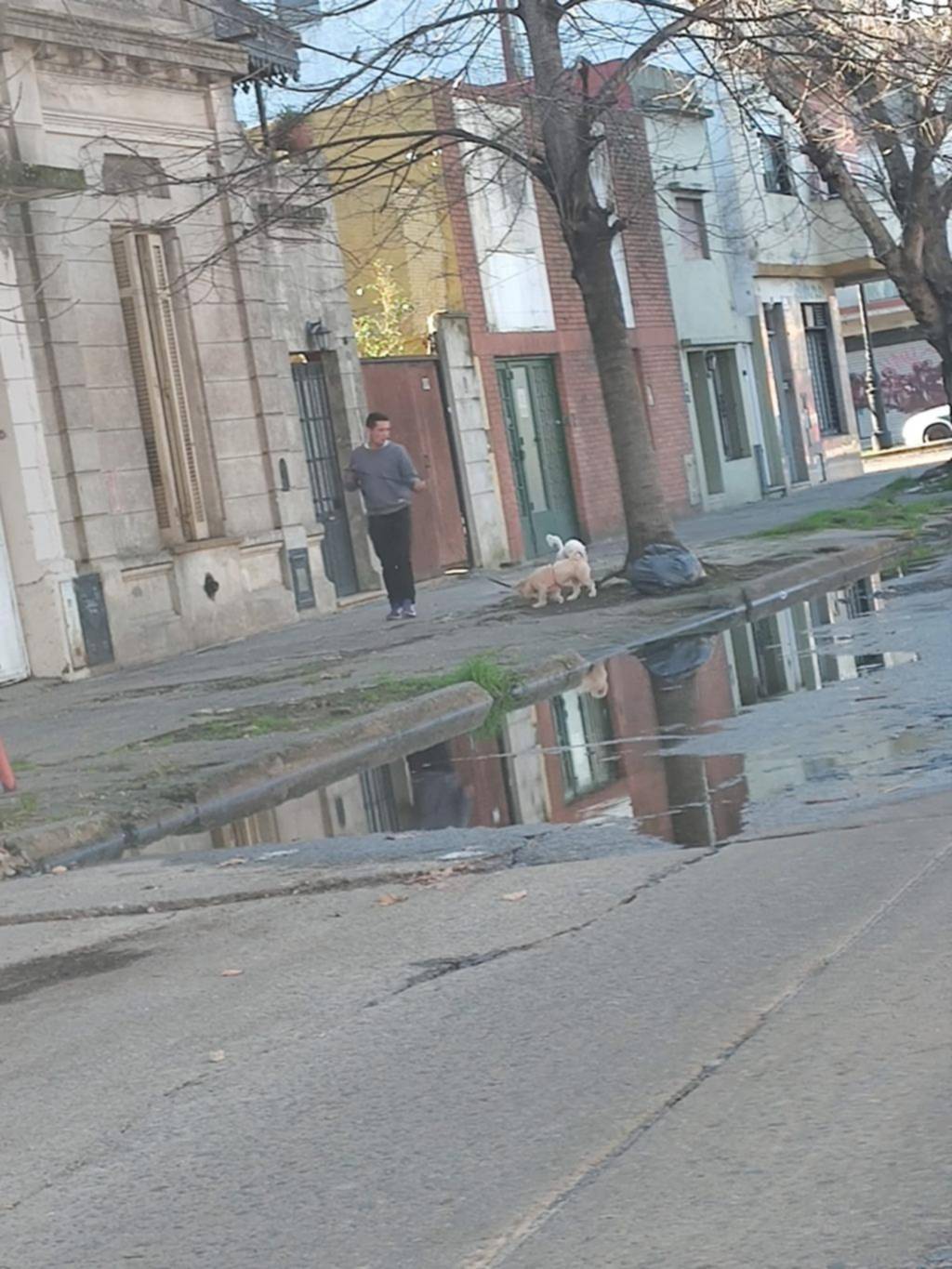 Más reclamos por los desbordes cloacales en calle 67 entre 7 y 8