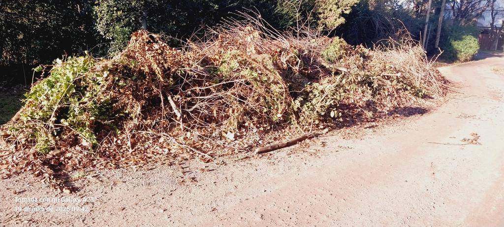 En Villa Elisa piden el retiro de las montañas de los restos de las podas