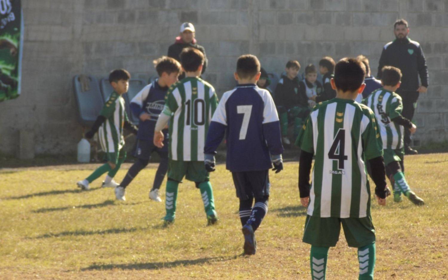 La agenda más completa del fútbol infantil en La Plata para este sábado : partidos, ligas y direcciones