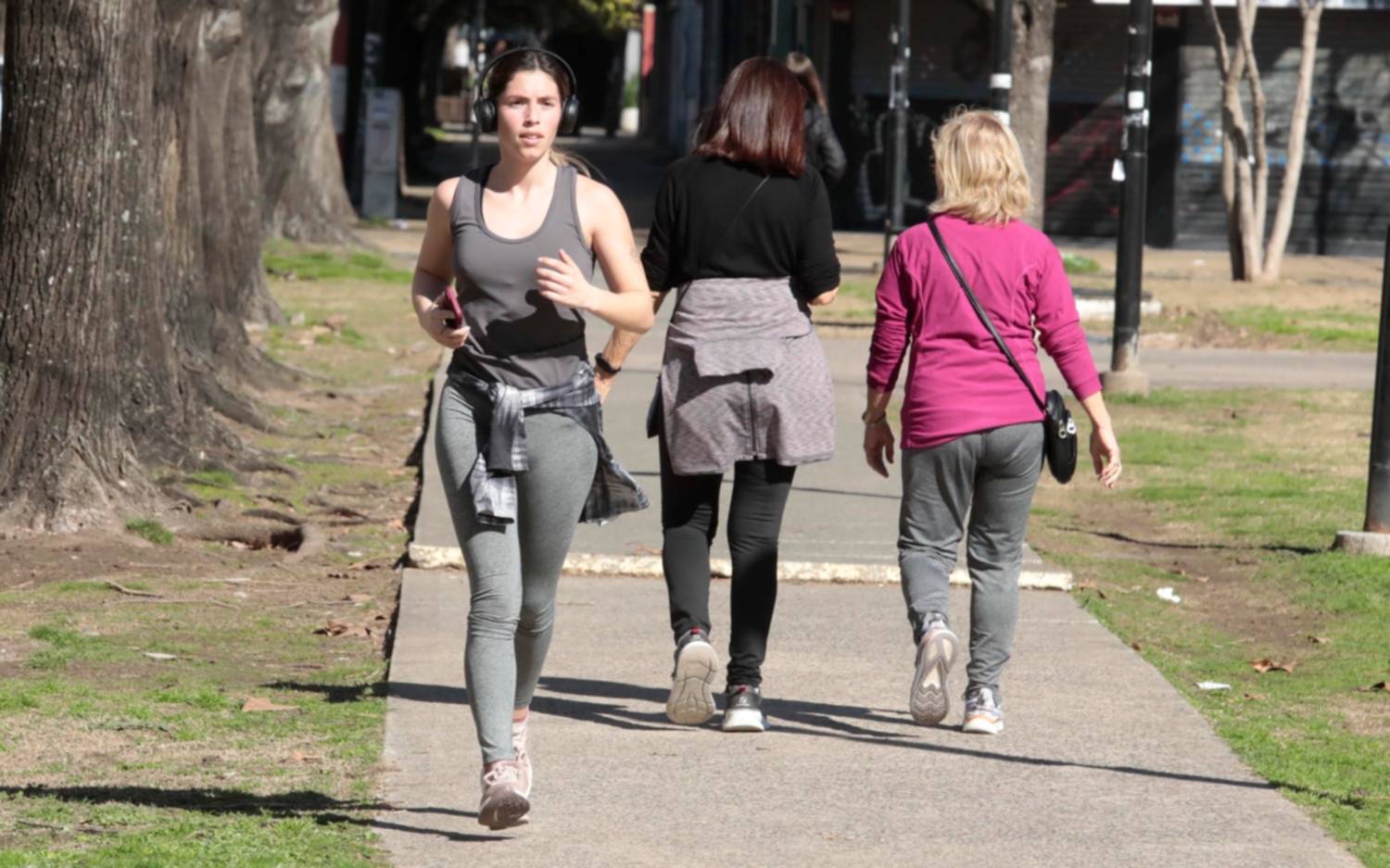 Domingo fresco pero para disfrutar al aire libre: ¿cómo sigue el tiempo en La Plata?