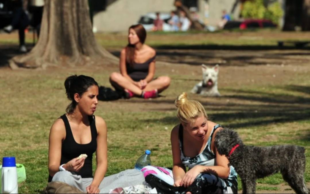Martes primaveral en La Plata, aunque asoma el frío extremo: ¿cuándo llega?