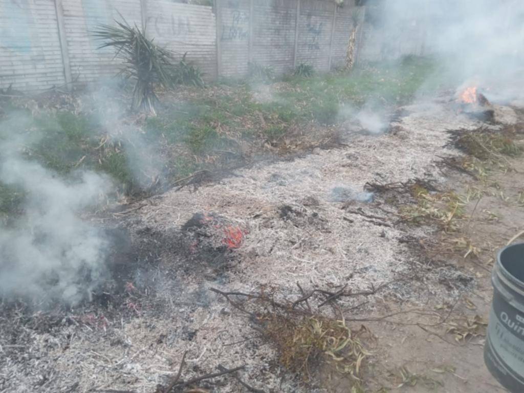 Susto en Arturo Seguí por el incendio de un montículo de ramas