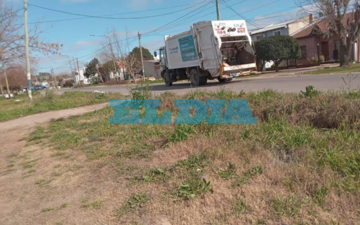 Un camión de basura atropelló a un hombre en La Plata: "Se tiró y quedó debajo de la rueda"
