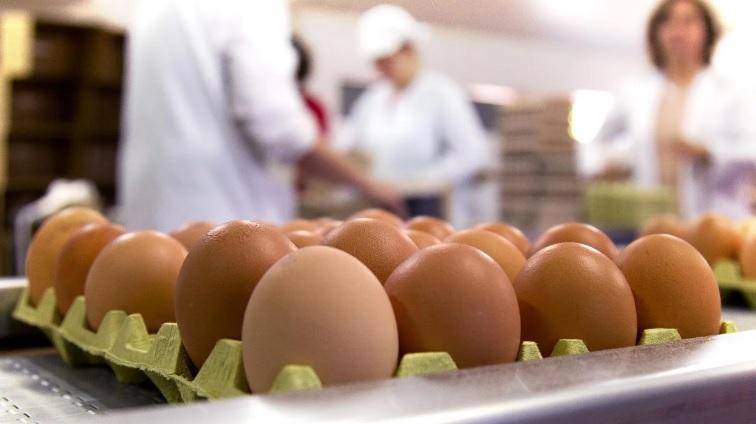 Huevos en la dieta: un “malo” que mejoró su reputación