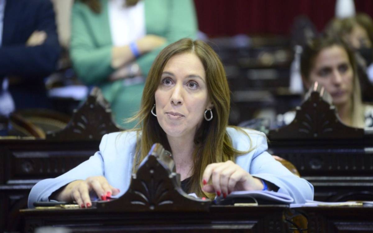 Manes, De Loredo, Vidal y Moreau: los diputados que se despiden del Congreso