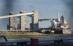 Bahía Blanca: las exportaciones de granos crecieron 5,9% en el primer semestre