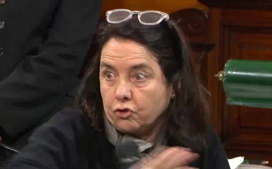 Una senadora dijo que los niños argentinos no tienen derecho a "venir al Garrahan a ser curados"