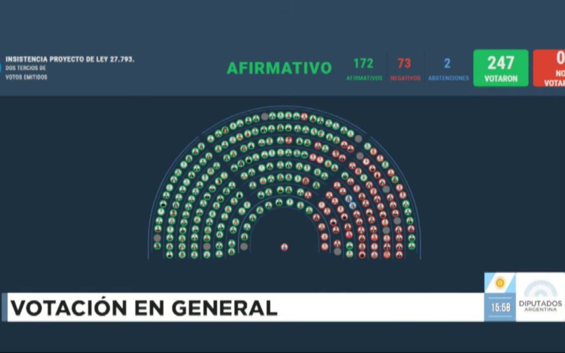 Uno por uno: así votaron los diputados el rechazo al veto de Javier Milei a la ley de emergencia en discapacidad