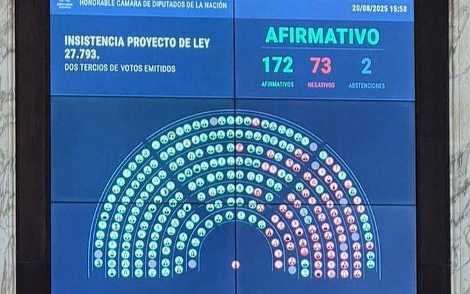 Uno por uno: así votaron los diputados el rechazo al veto de Javier Milei a la ley de emergencia en discapacidad