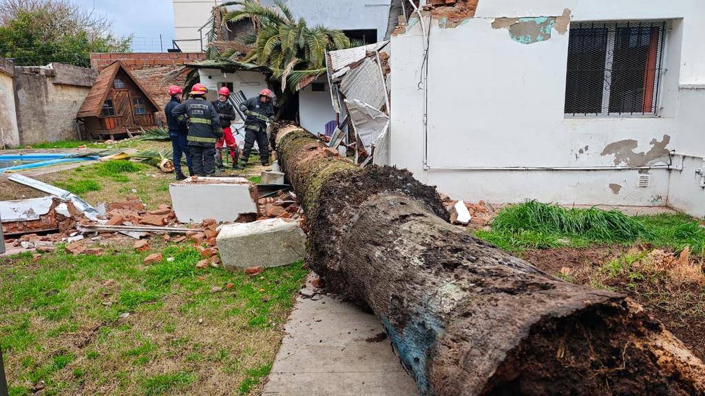 Árboles caídos y calles sin salida: lo que dejó la lluvia