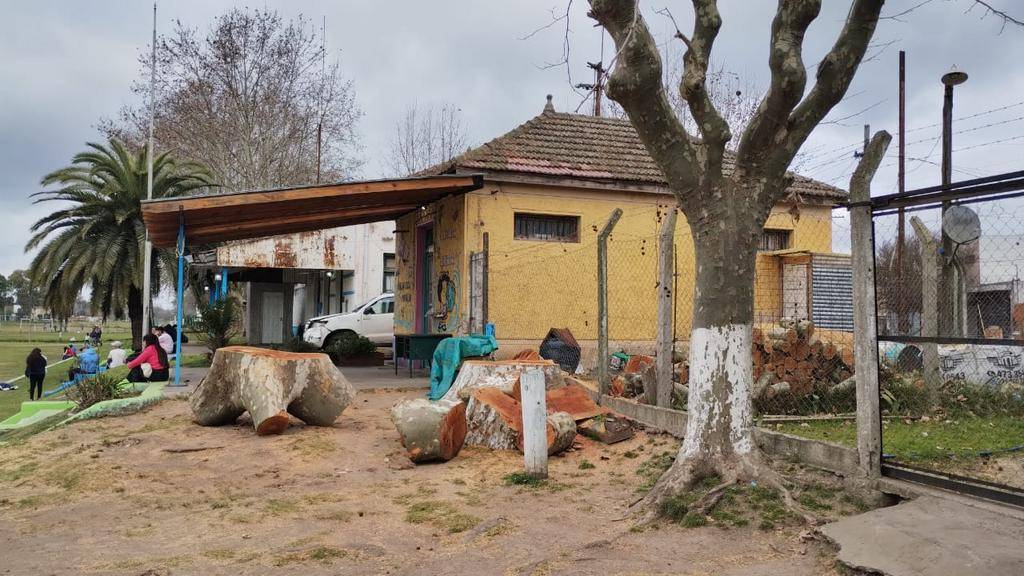 En Arturo Seguí talaron un árbol añejo y generó un conflicto vecinal