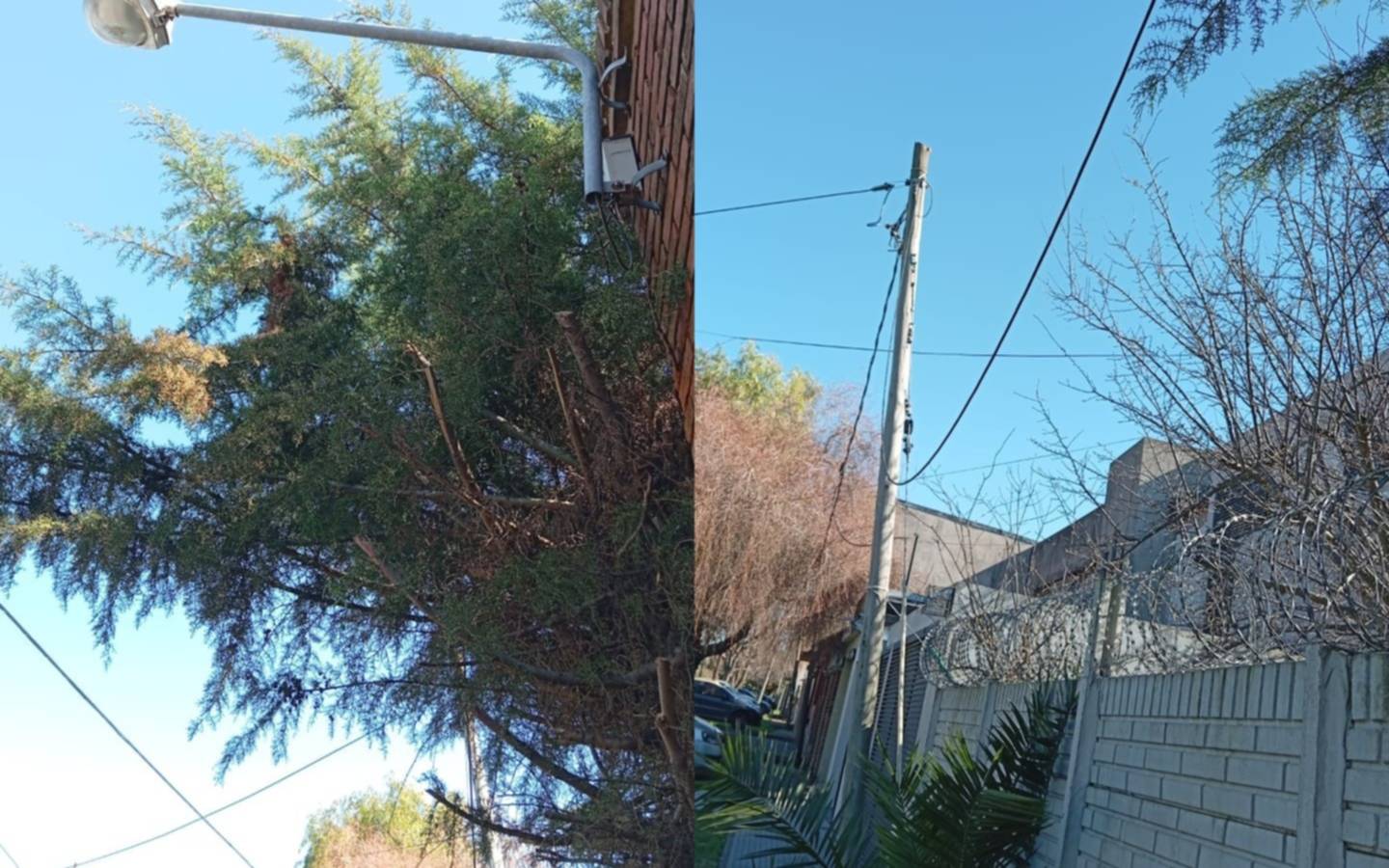 Tras los fuertes vientos, cables cortados en una vereda de San Carlos