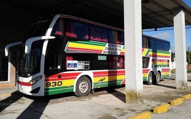 Conmoción: se tomó el micro en la Terminal de La Plata y llegó muerto a Pehuajó