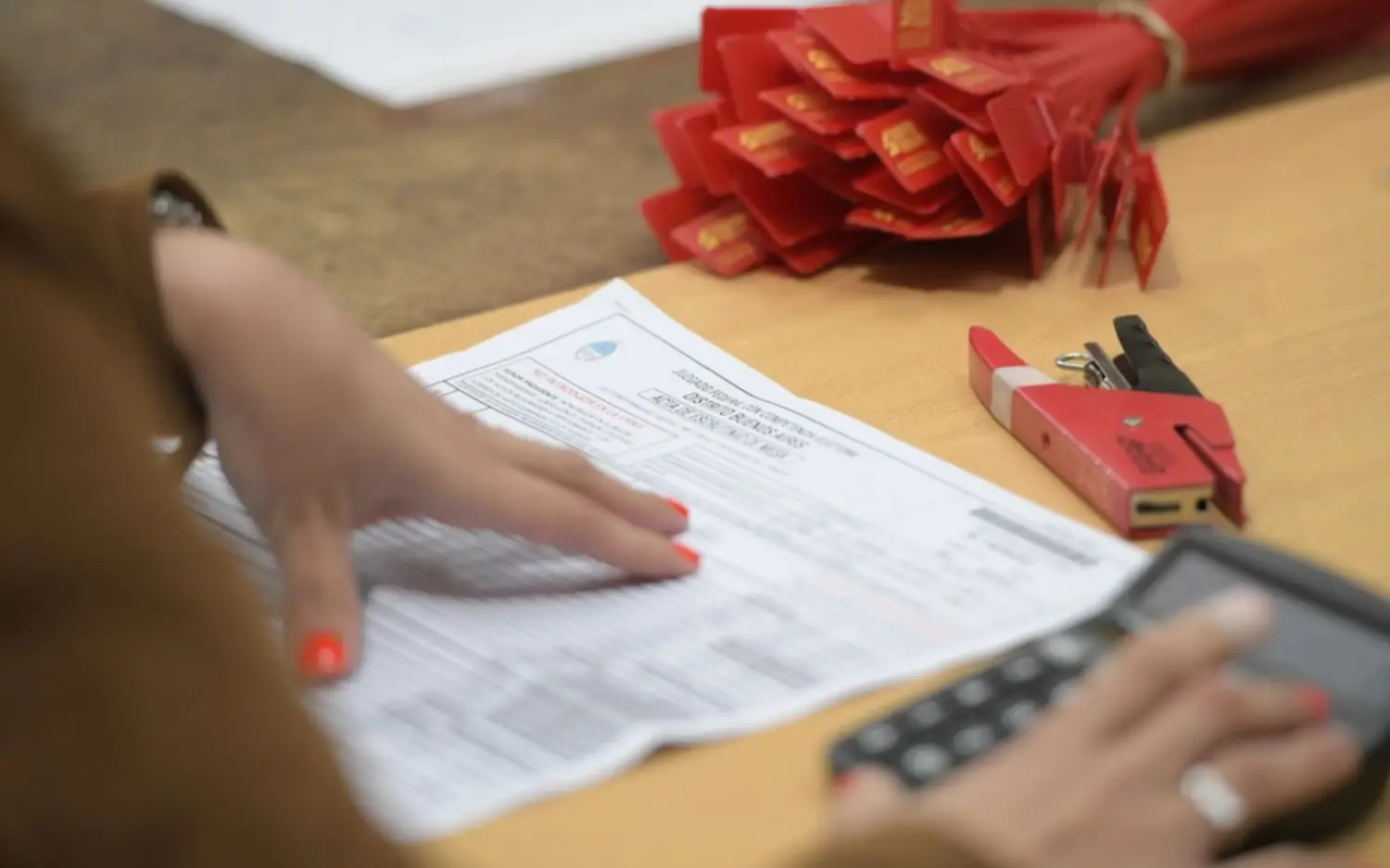 Elecciones del 7 de septiembre en Berisso y Ensenada: ¿Con qué documento se puede votar?