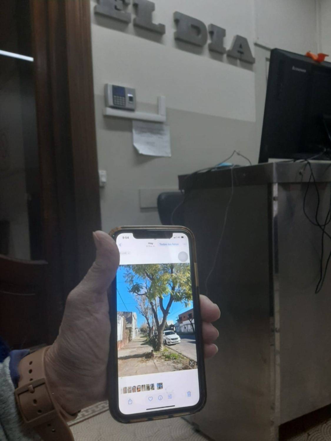 Un jacarandá que pide auxilio por una pérdida de agua y la indignación de los vecinos con ABSA
