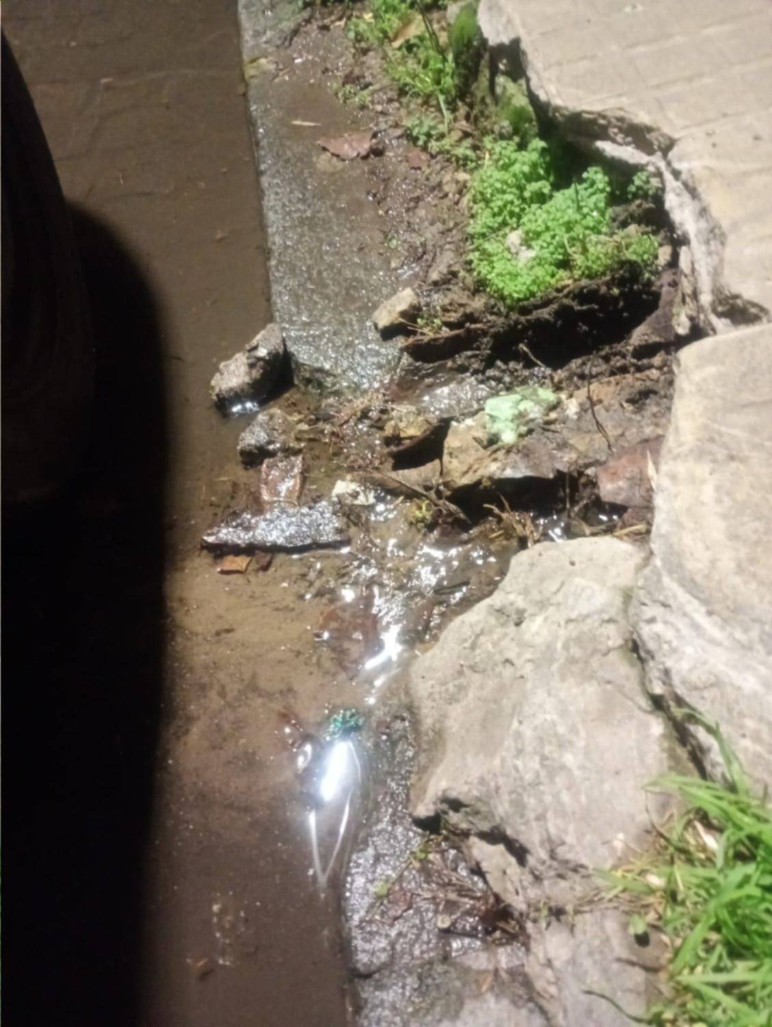 Quejas vecinales por una pérdida de agua "a mares" en pleno centro de La Plata