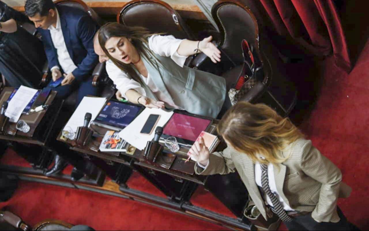 Bochorno en Diputados: otro escándalo entre Lilia Lemoine y Marcela Pagano, y van…
