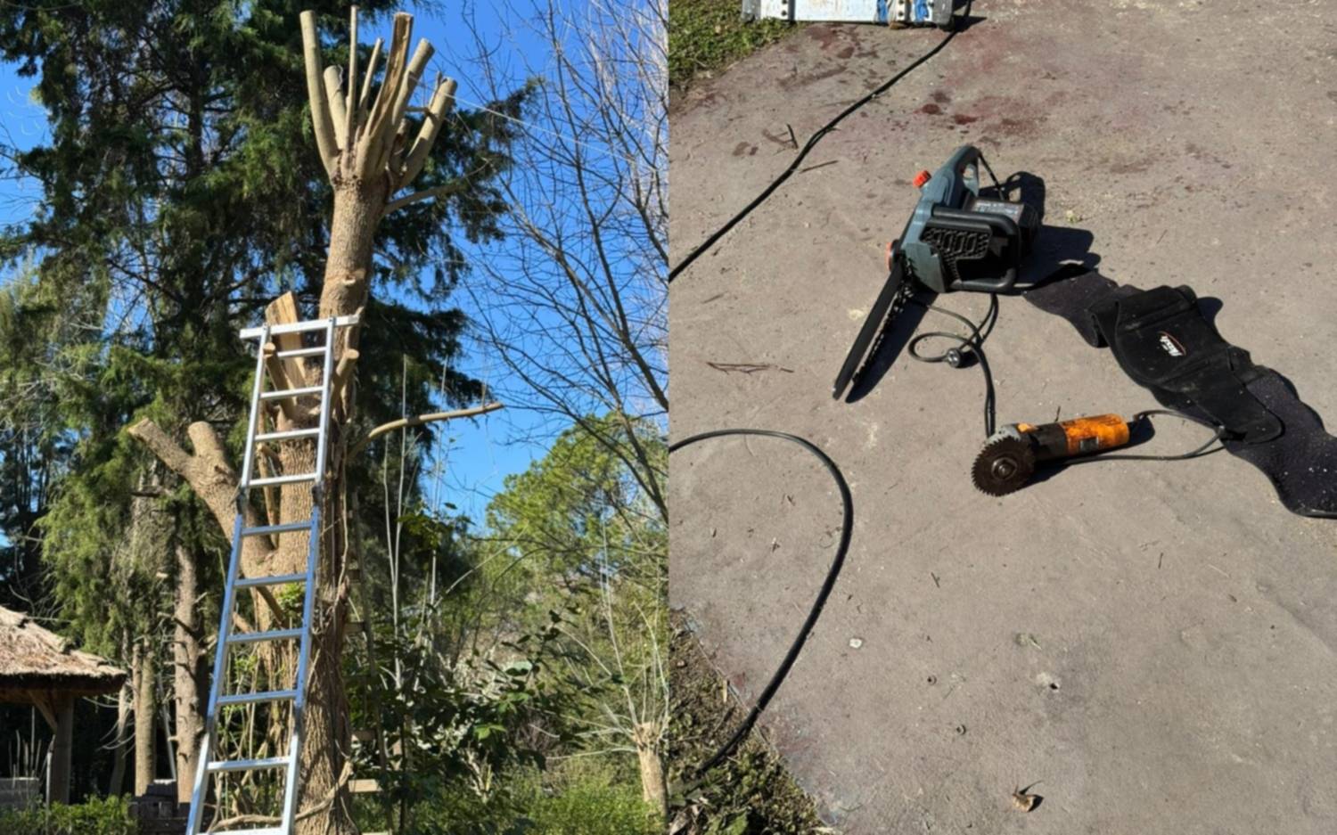 La Plata: "Se mató con la motosierra", el trágico accidente de un jubilado que podaba un árbol