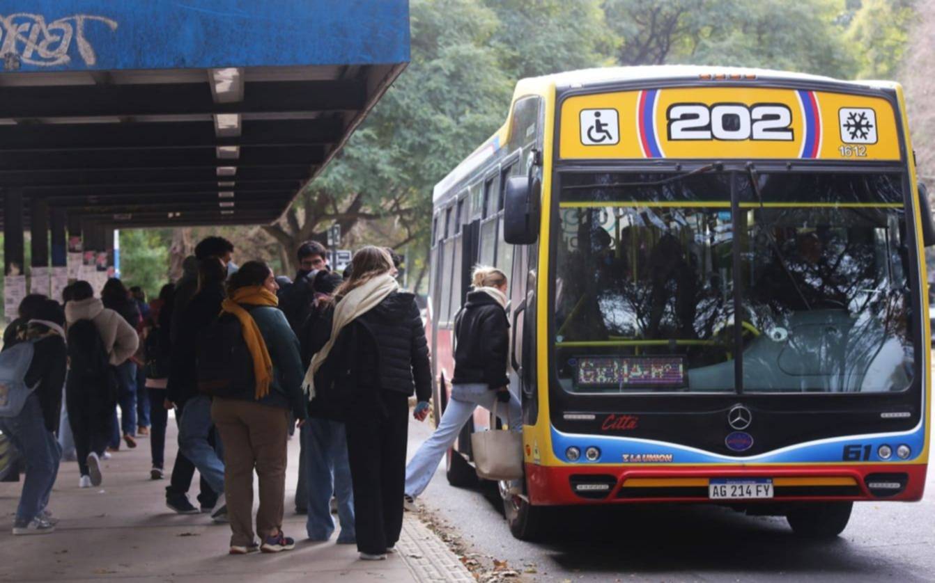 ¡Atención! Se podrá viajar gratis en micros para ir a votar en las elecciones provinciales y nacionales