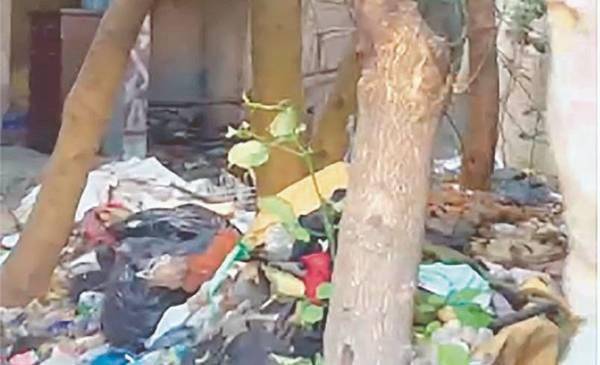 Preocupa la intrusión y desmanes en un edificio de 45 entre 11 y 12