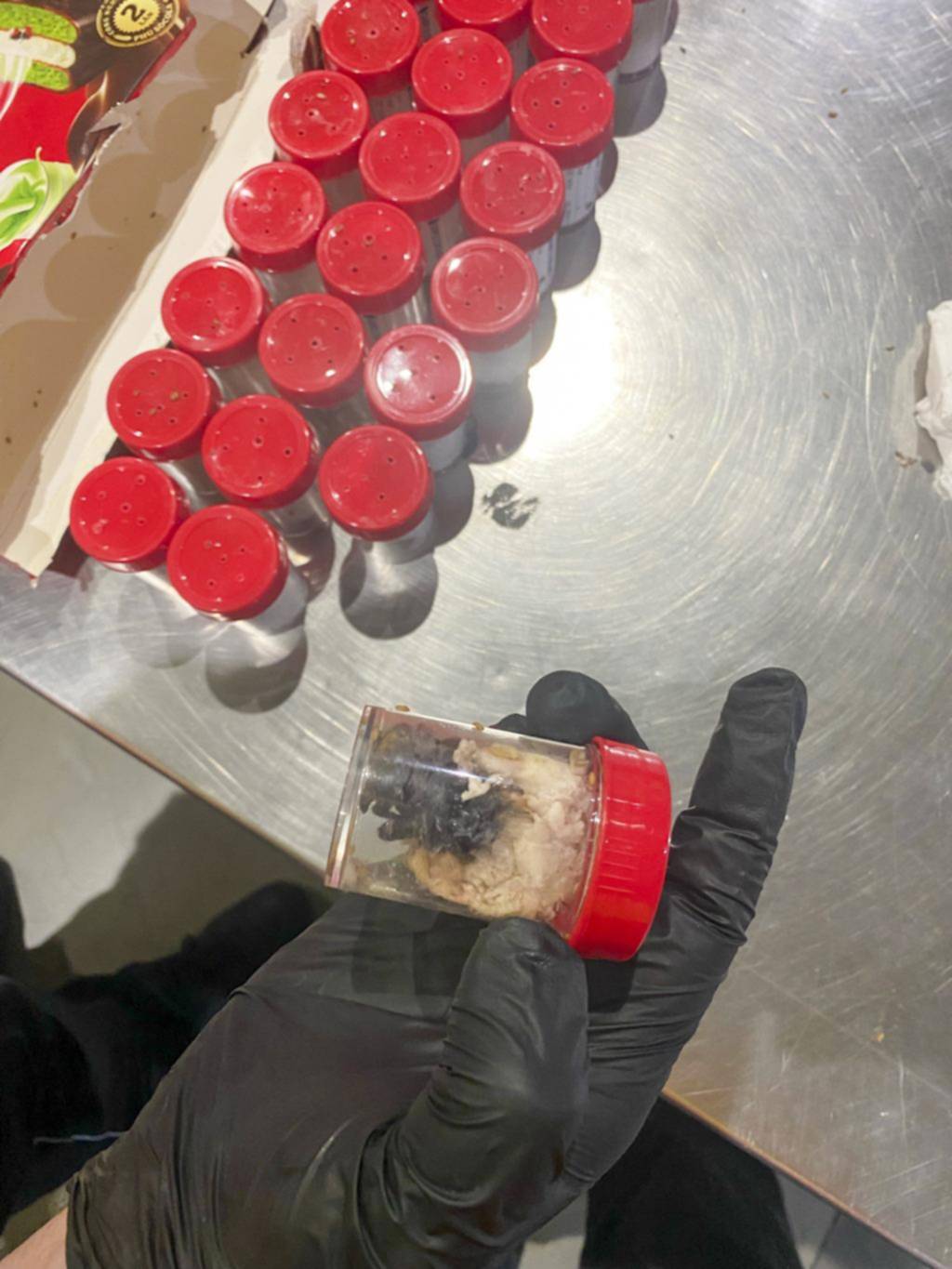 “Contrabando” de 1.500 arañas en envases de galletas