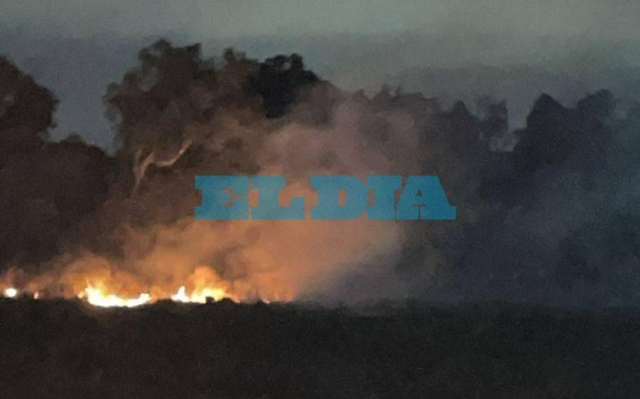 Incendio de campo asustó a los vecinos de Arturo Seguí