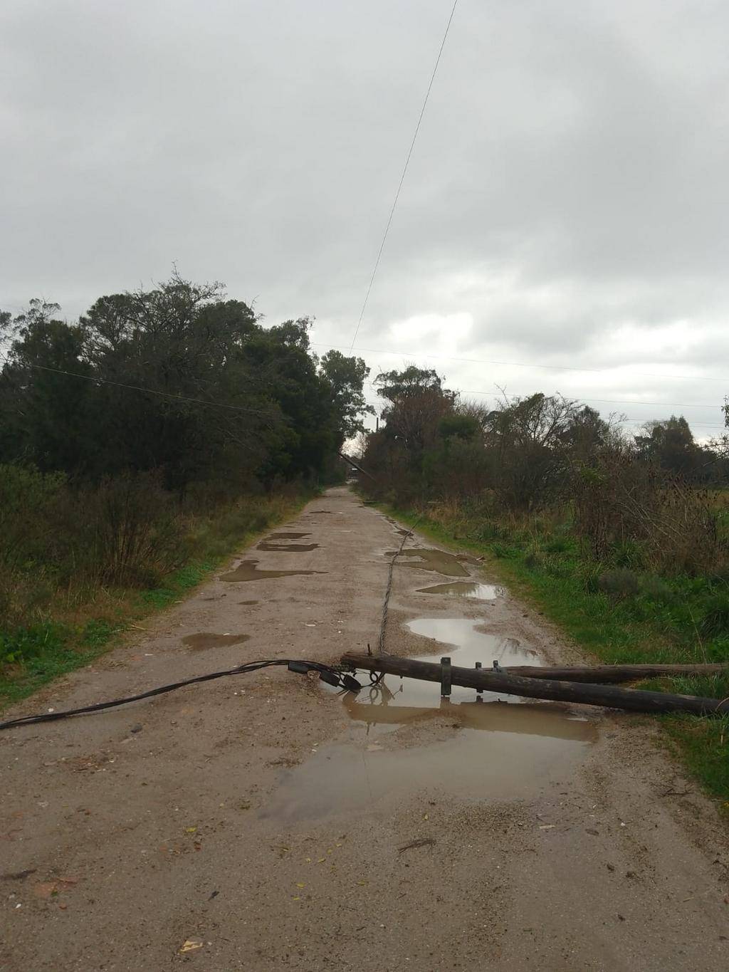 Alerta en Ignacio Correas: poste caído y cables en el agua generan temor entre los vecinos