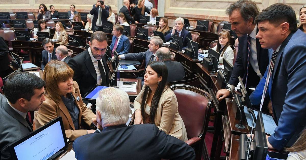 Propiedad privada: desalojo exprés, plazos y todo lo qué cambia para propietarios e inquilinos | El Dia