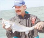 Tiempo de pescadillas en la costa