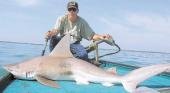 Tiburones en peligro