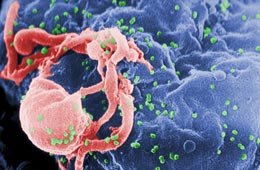 Buscan reformular un fármaco utilizado contra el SIDA