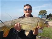 Masa para carpas en el Río de la Plata