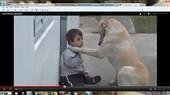 El video de un chico platense y su perro es furor en Internet