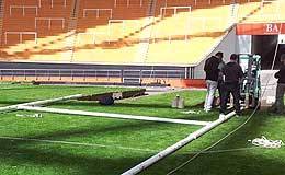 A la espera de los Pumas