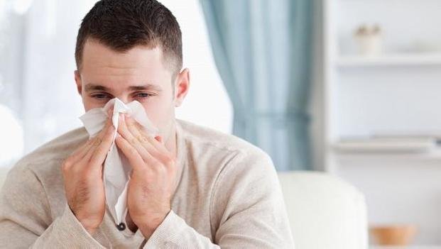 Gripe: descartan nuevo brote