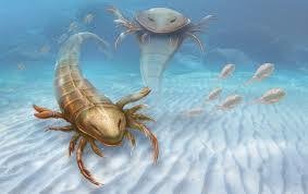 Escorpiones marinos dominaron el planeta antes de los dinosaurios